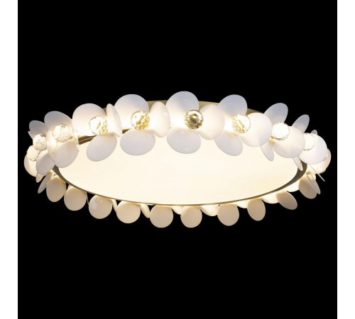Накладной светильник Loft it 10176 Bride Накладной светильник Loft it 10176 Bride