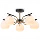 Люстра на штанге Ambrella Light TR303312 TR