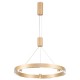 Подвесной светильник Ambrella Light FL5846 FL