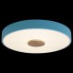 Накладной светильник Loft it 10003/24 Blue Axel 2