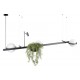 Подвесной светильник Loft it 10121/C Jardin