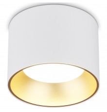 Накладной светильник Ambrella Light TN52882 TN