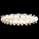 Накладной светильник Loft it 10176 Bride
