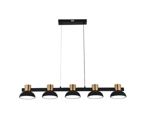 Подвесной светильник Indigo 11059/5PL Black Traforo Подвесной светильник Indigo 11059/5PL Black Traforo