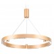 Подвесной светильник Ambrella Light FL5846 FL
