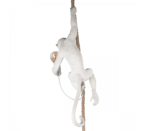 Подвесной светильник Loft it 10314P Monkey