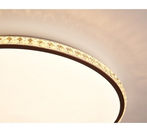 Накладной светильник Ambrella Light FF71 FF Накладной светильник Ambrella Light FF71 FF