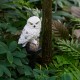 Птица световая Uniel UL-00011596 POLAR OWL