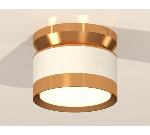 Накладной светильник Ambrella Light XS8101060 XS Накладной светильник Ambrella Light XS8101060 XS