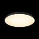 Накладной светильник Loft it 10371 Black Dime
