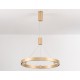 Подвесной светильник Ambrella Light FL5846 FL