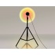 Настольная лампа декоративная Ambrella Light DE8387 DE