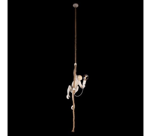 Подвесной светильник Loft it 10314P Monkey