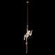 Подвесной светильник Loft it 10314P Monkey