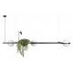 Подвесной светильник Loft it 10121/C Jardin