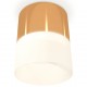 Накладной светильник Ambrella Light XS8121011 XS