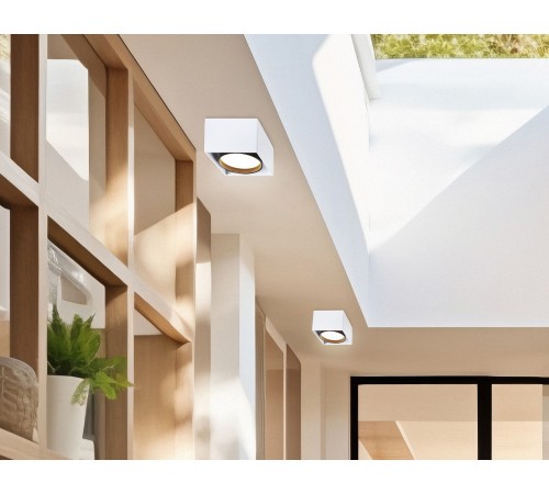 Накладной светильник Ambrella Light TN70865 TN Накладной светильник Ambrella Light TN70865 TN