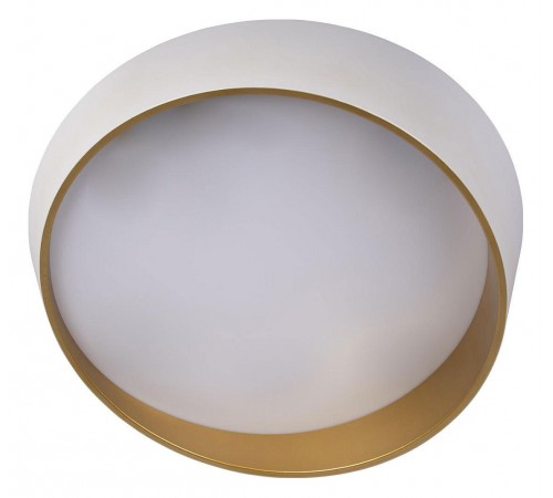 Накладной светильник Loft it 10199 White Coin