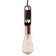 Подвесной светильник Loft it LOFT1510C Wickle