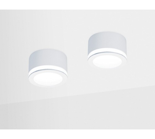 Накладной светильник Ambrella Light TN265 TN Накладной светильник Ambrella Light TN265 TN