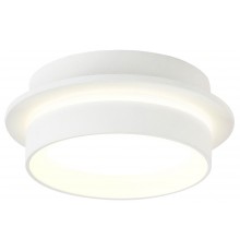 Накладной светильник Ambrella Light TN5383 TN