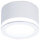 Накладной светильник Ambrella Light TN265 TN