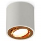 Накладной светильник Ambrella Light XS7533004 XS