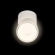 Спот Loft it 10323/A White Focus