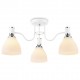 Потолочная люстра Ambrella Light TR303302 TR