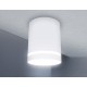 Накладной светильник Ambrella Light TN3202 TN