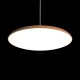 Подвесной светильник Loft it 10119 Orange Plato