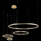 Подвесной светильник Loft it 10017/4M Ring