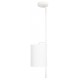 Светильник на штанге Loft it 10253P White Ritz