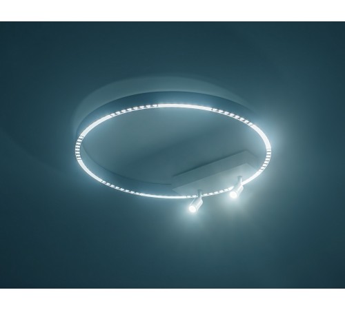 Накладной светильник Ambrella Light FL5807 FL