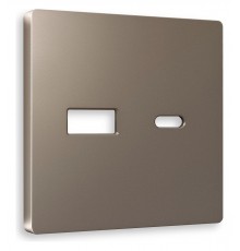Накладка для розетки type A и C Ambrella Volt AP6410 Quant