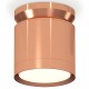 Накладной светильник Ambrella Light XS8122035 XS