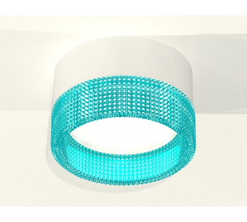 Накладной светильник Ambrella Light XS8101033 XS Накладной светильник Ambrella Light XS8101033 XS