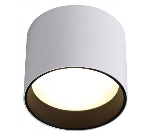 Накладной светильник Ambrella Light TN5303 TN Накладной светильник Ambrella Light TN5303 TN