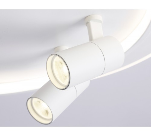 Накладной светильник Ambrella Light FL51391 FL Накладной светильник Ambrella Light FL51391 FL
