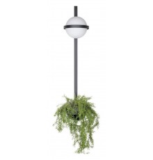 Бра Loft it 10121W/B Jardin