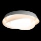 Накладной светильник Loft it 10256 White Petale
