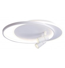 Накладной светильник Ambrella Light FL51391 FL