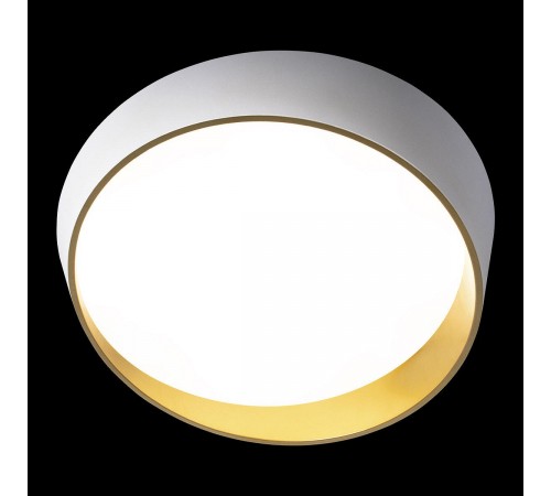Накладной светильник Loft it 10199 White Coin