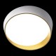 Накладной светильник Loft it 10199 White Coin