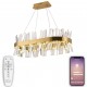 Подвесной светильник Natali Kovaltseva LED LAMPS 81250 Smart Нимбы