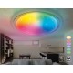 Накладной светильник Ambrella Light FF480 FF