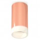 Накладной светильник Ambrella Light XS6326021 XS