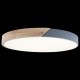 Накладной светильник Loft it 10004/36 Grey Axel 3