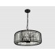 Подвесной светильник Ambrella Light TR5815 TR