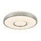 Накладной светильник Ambrella Light FF82 FF